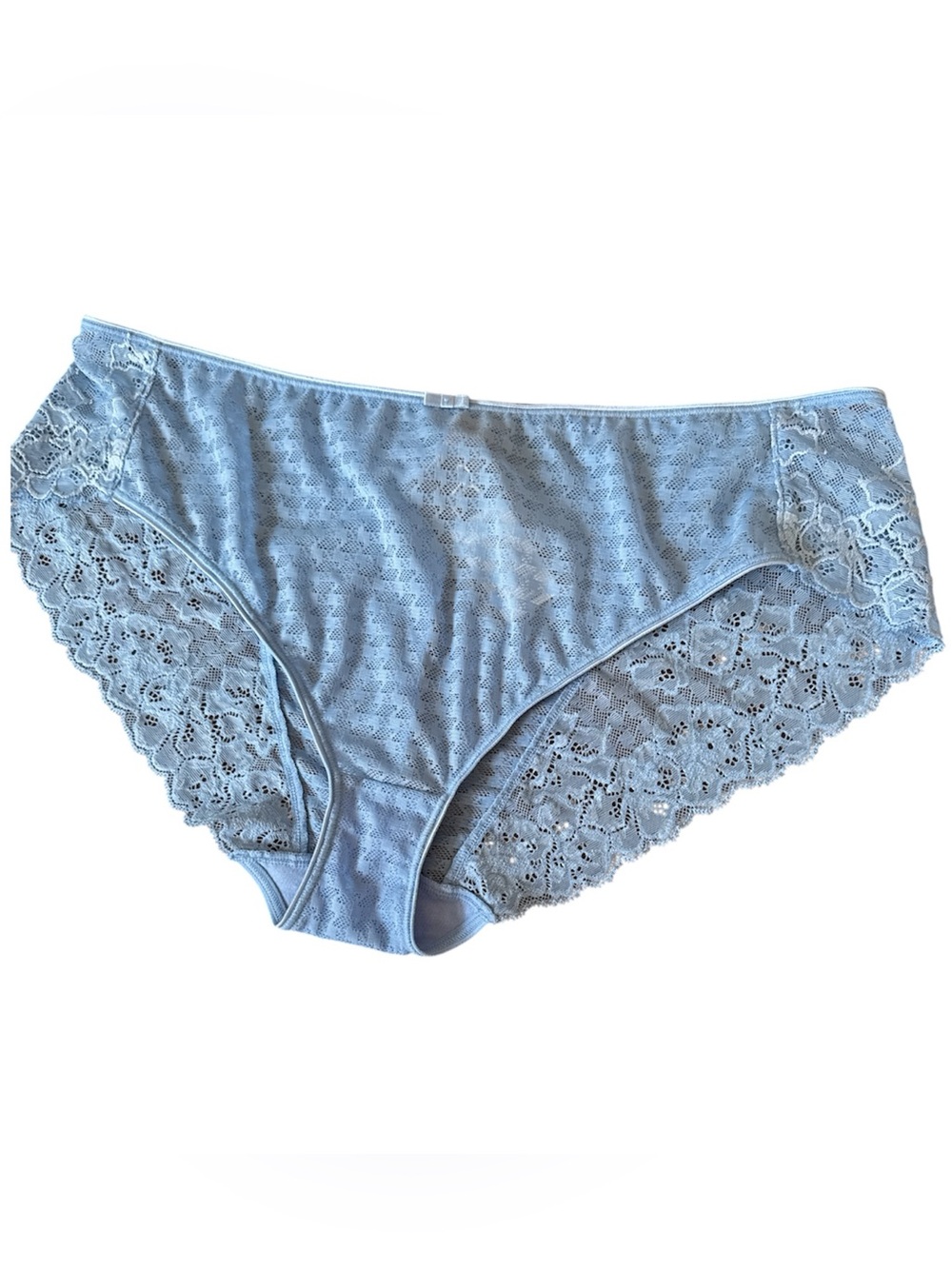 Panache Lace Dainty Blue Bikini Panties Women's Intimates Size XXL Sexy Feminine